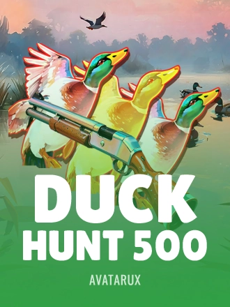 Duck Hunt 500